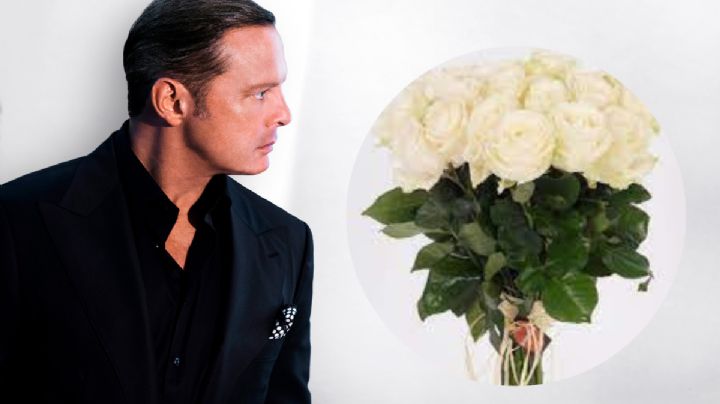 Qué sí y qué no: Estas son las exigencias que pidió Luis Miguel para arrancar su gira