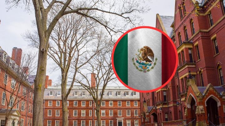¿Te interesa estudiar en Harvard? Puedes hacerlo así