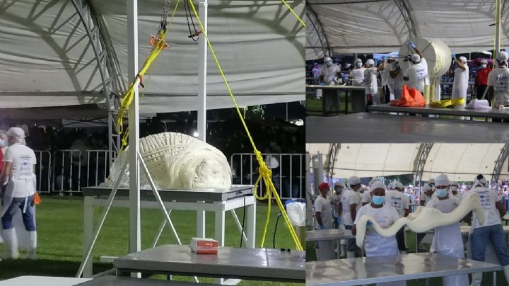 VIDEO| En Chiapas rompen Récord Guinness con el queso de hebra más grande del mundo