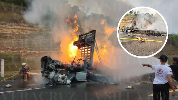 Mueren más de 1,000 pollos calcinados en la Cardel-Poza Rica. Esto se sabe