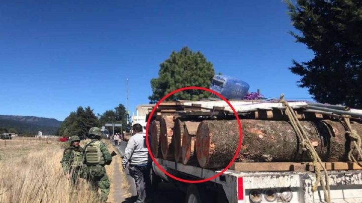 Falta compromiso a Morelos para combatir tala ilegal: alcaldía Tlalpan