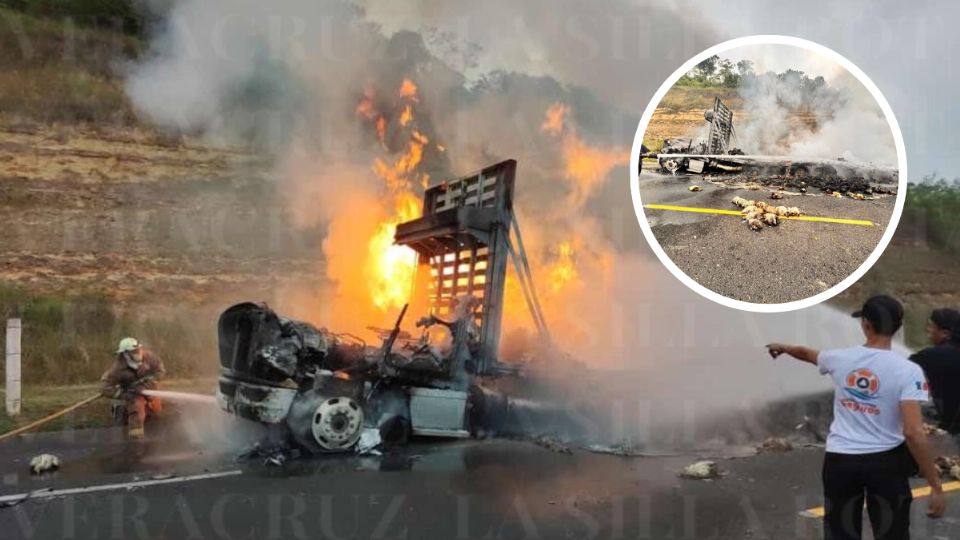 Incendio en la Cardel-Poza Rica; mueren pollos calcinados