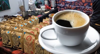 De café, barismo y baristas; realizan Expo Café en Pachuca