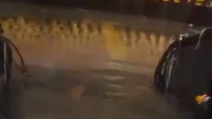 Se mantendrá cerrado el Palenque de la Feria, reagendan concierto  90´s Pop Tour