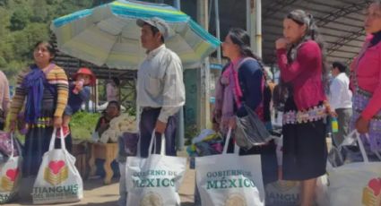 En estos 5 municipios de Veracruz entregarán objetos decomisados al narco