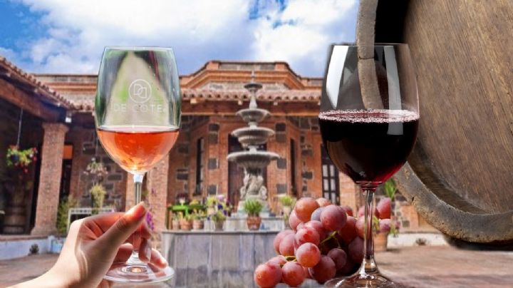 Festival del vino, música y gastronomía en Hidalgo con Grandezza Wine Tour, ¿dónde y cuándo es?