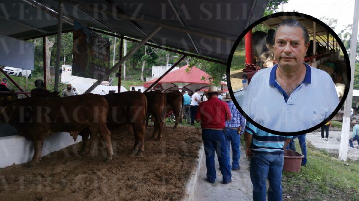 En Papantla, Veracruz, denuncian afectaciones por robo de ganado