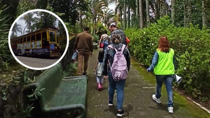 Conoce el Campus CAD de la UV en Xalapa con el tranvía El Piojito, mira cómo