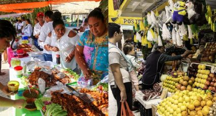 Rescate de comida en Veracruz: el estado será piloto de programa internacional