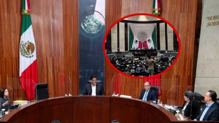 El TEPJF y la protección de los derechos de las personas legisladoras