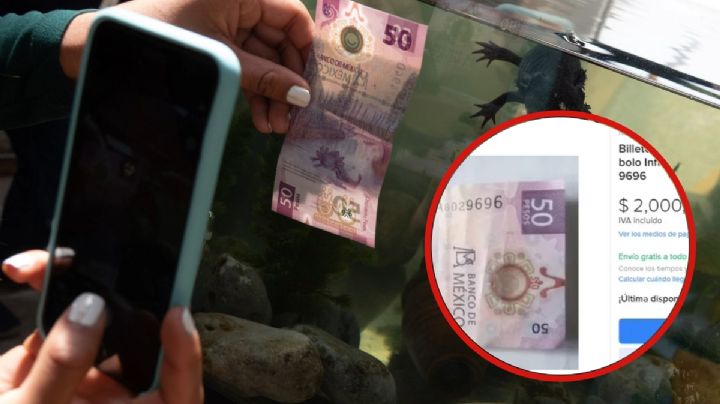 ¿Tienes un billete radar? Por este curioso detalle puedes ganar 2 millones de pesos