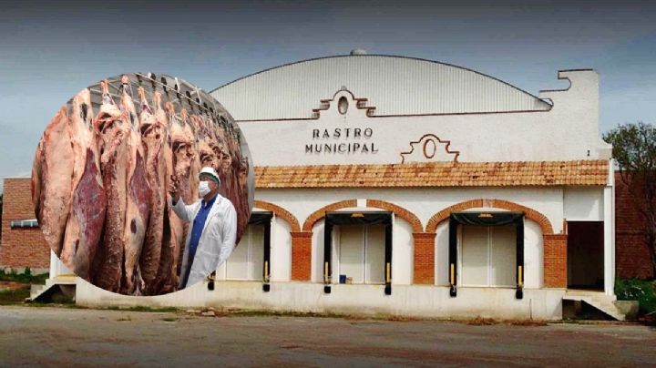 ¿Por qué suspendieron la convocatoria para concesionar Rastro Municipal de Pachuca?