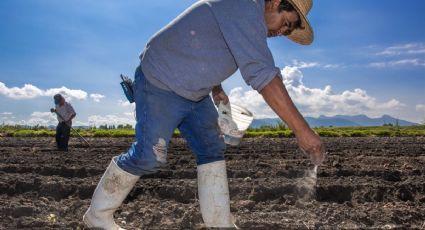 Expertos urgen fortalecer agricultura familiar para garantizar la seguridad alimentaria