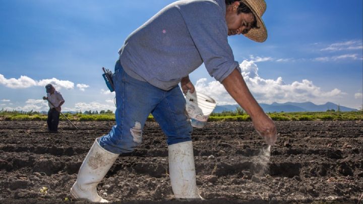 Expertos urgen fortalecer agricultura familiar para garantizar la seguridad alimentaria