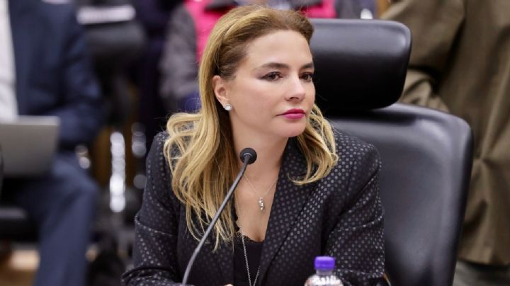 Esto dijo consejera del INE Carla Humphrey sobre desaparición de Consejos Municipales