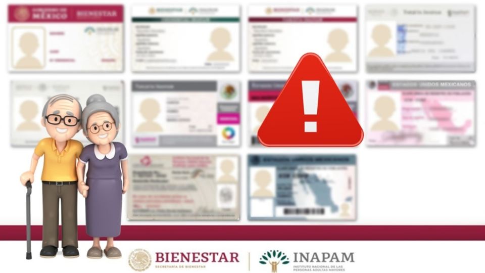 La tarjeta del INAPAM no puede faltar en la cartera de los adultos mayores de 60 años porque representa descuentos y beneficios.