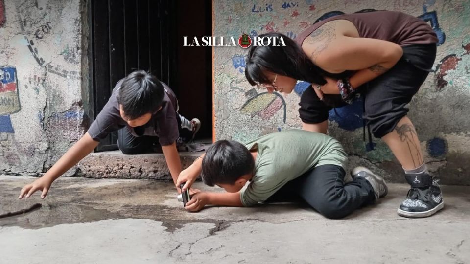 Niños de Tepito: aprenden a fotografiar la realidad