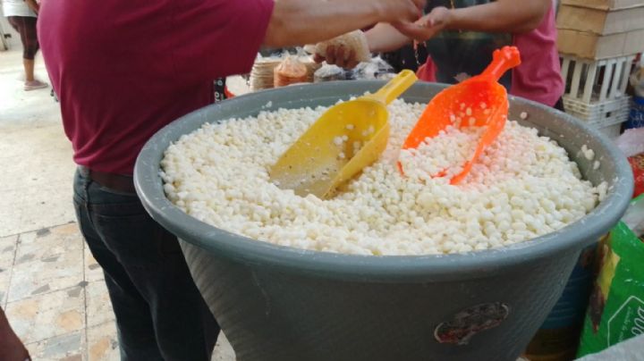 ¿Cuánto cuesta preparar el pozole en Edomex hoy 15 de septiembre?