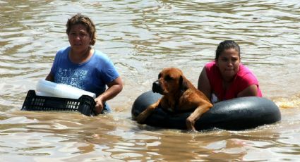 Huracán Karl: Se cumplen 13 años de su impacto en Veracruz (+ Fotos)