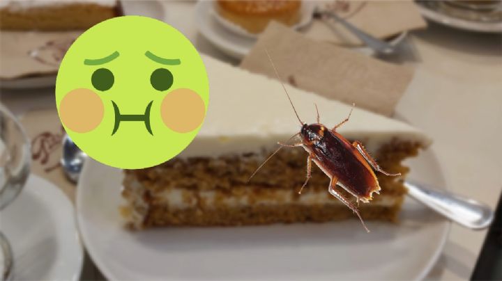 Denuncian a pastelería de San Javier en Pachuca por “vender” cucarachas | FOTOS