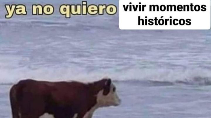 Llegó el 19 de septiembre y las redes sociales se ponen a temblar con los mejores memes