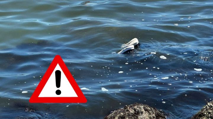 Aparece cuerpo flotando en el mar de Veracruz; cerca del malecón