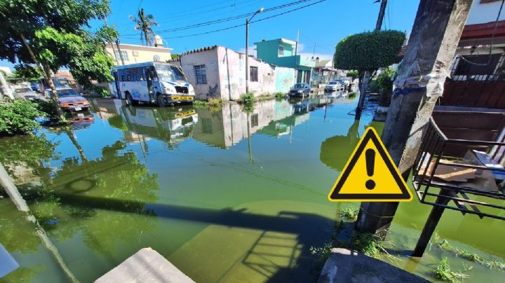 Vecinos denuncian inundación de aguas negras en colonia Remes, de Boca del Río