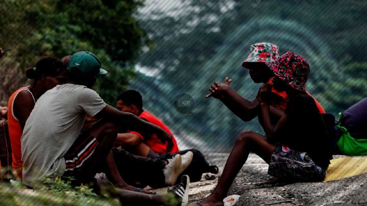 Migrantes: ‘Caminando, pasos, caminando’