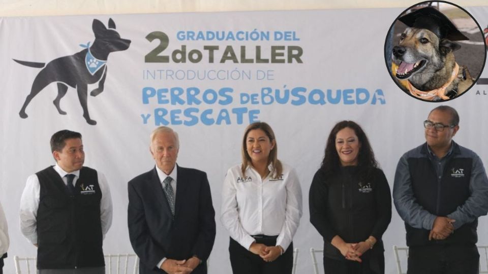 La Alcaldía Tlalpan anunció la graduación de un grupo de 20 perros