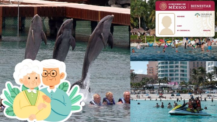 Tarjeta INAPAM: El descuento que podrás aplicar para tus vacaciones de invierno 2023