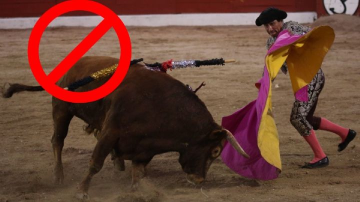 Vuelven a la ofensiva vs las corridas de toros en CDMX; habrá protestas este domingo