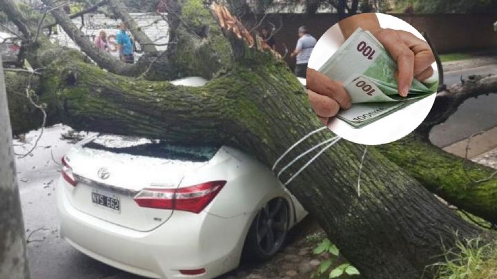¿Tienes una póliza de auto con Banorte, GNP o BBVA? Checa esto