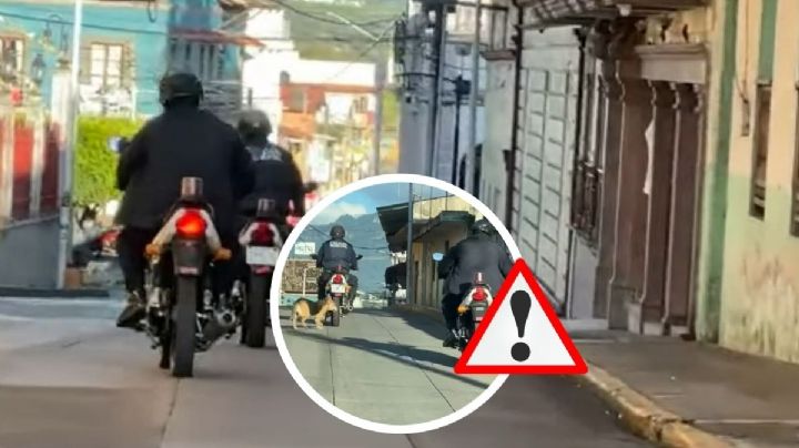 Graban a policía de Jalacingo en moto con perrito amarrado del cuello