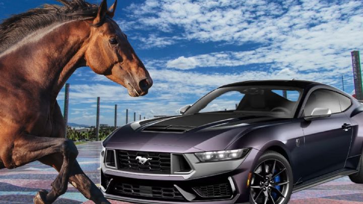 ¿Amante de la velocidad? Llega la expo Mustang a Pachuca