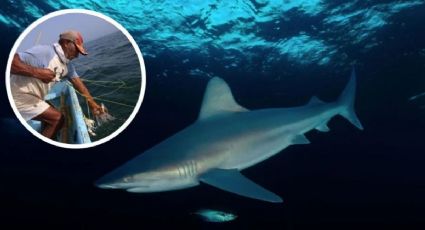 Pescadores de Alvarado capturan tiburones gigantes de más de 120 kilos en Veracruz