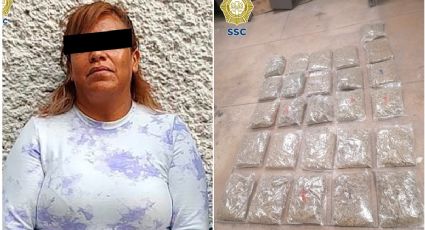 "La jefa": Lideraba grupo de narcotraficantes en CDMX y Edomex, tenia un mono de mascota