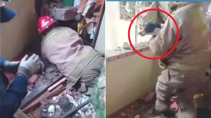 Perrita sobrevive al desastre: vivió por 2 días bajo los escombros de una explosión