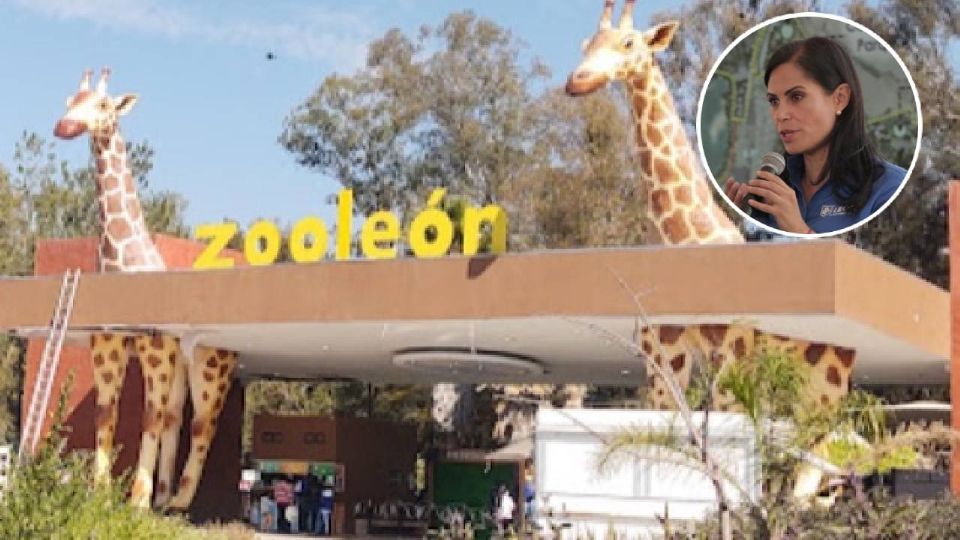 Las jirafas y las taquillas del Zoológico de León serán quitadas. Ale Gutiérrez dio a conocer el proyecto Parque de la Vida.