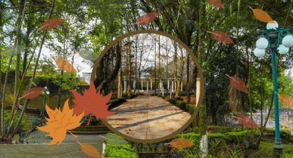 3 parques de Xalapa ideales para disfrutar las hojas secas de otoño