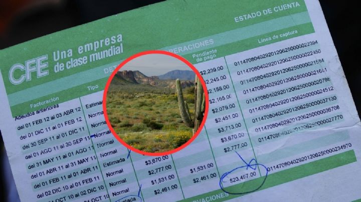 CFE: Estos son los usuarios que recibirán nuevo beneficio y más descuento en su recibo de luz