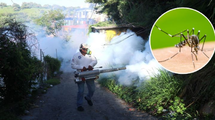 Aumenta el dengue en Guanajuato; estos son los síntomas