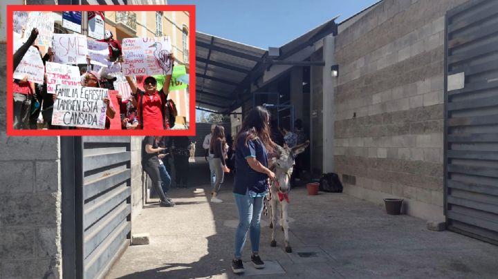 Siguen actividades académicas en Icap, pese a paro a favor del IDA