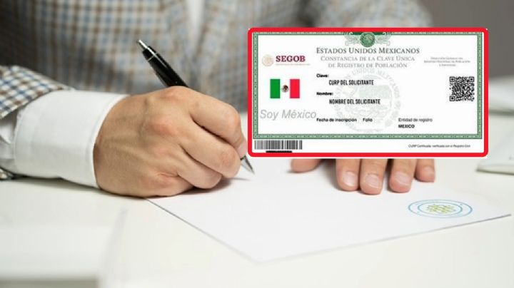 CURP tiene cambios: Así será la nueva identificación oficial