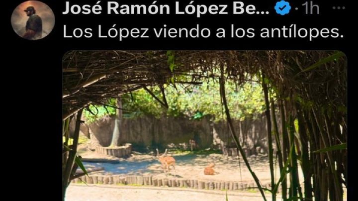 Así cuenta chistes José Ramón López Beltrán