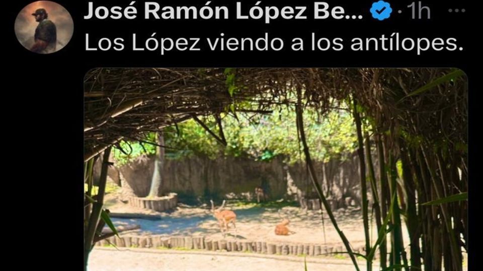 El humor de José Ramón López Beltrán