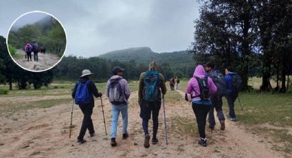 Calará fuerte el frío invernal en Guanajuato