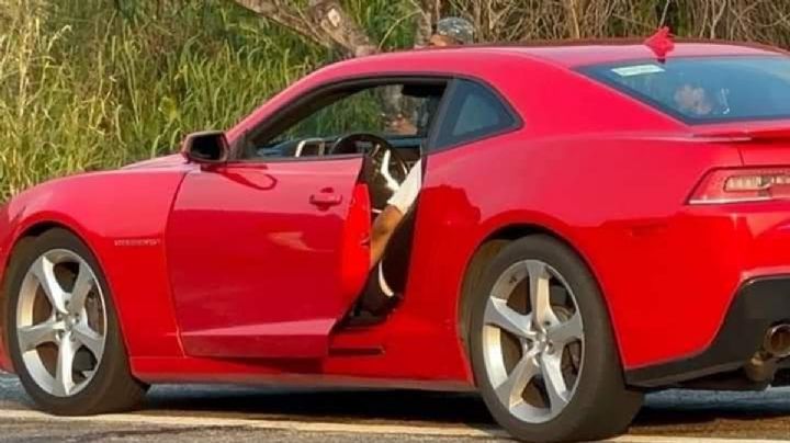 A tiros, asesinan a comandante de FGR en su deportivo rojo