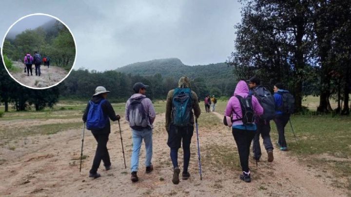 Calará fuerte el frío invernal en Guanajuato