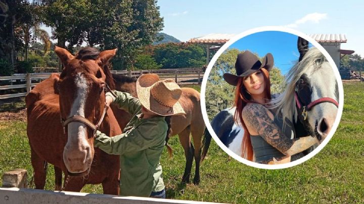 Caballos rescatados en Emiliano Zapata los resguardará influencer en “Cuacolandia”