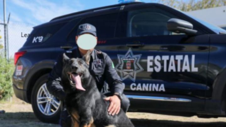 "Nochebuena", perrita policía, la olvidan dentro de patrulla y muere